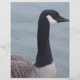 Papier Oie canadienne sur un lac