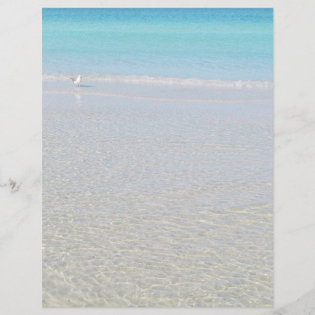 Papier Oiseau sur la plage à l'arrêt (Devant)