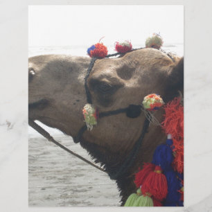 Papier Oman ! Mascate