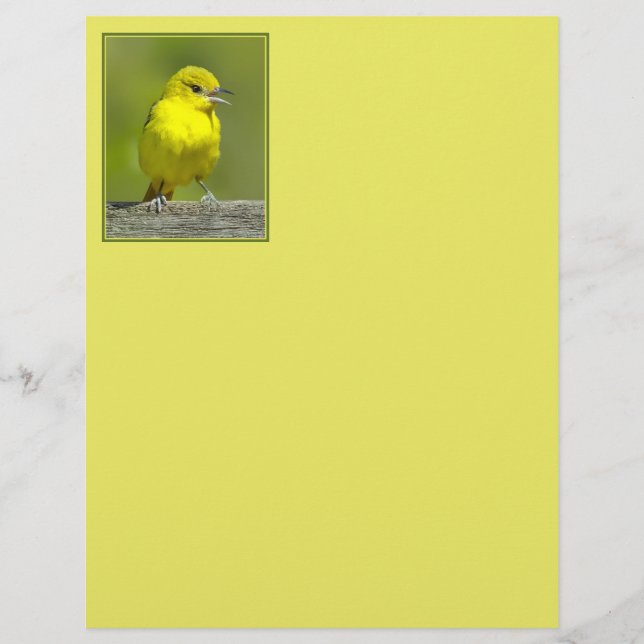 Papier Orchard Oriole - Photo originale (Devant)