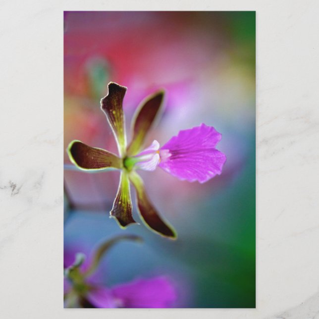 Papier Orchidée violette (Devant)