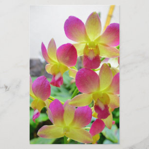 Papier Orchidées rose jaune