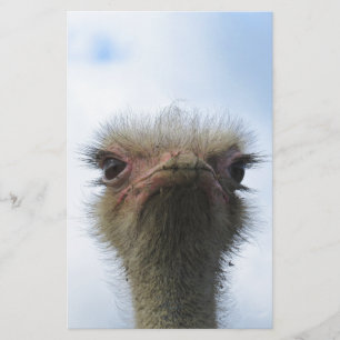 Papier Ostrich Portrait