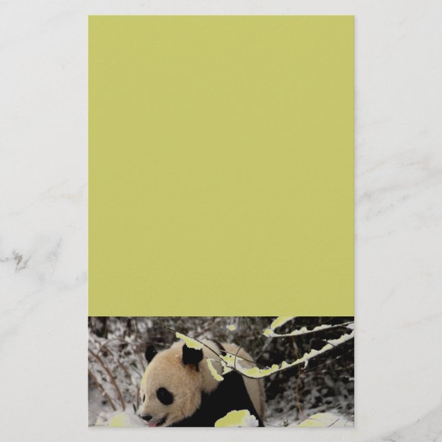 Papier Ours Panda (Devant)