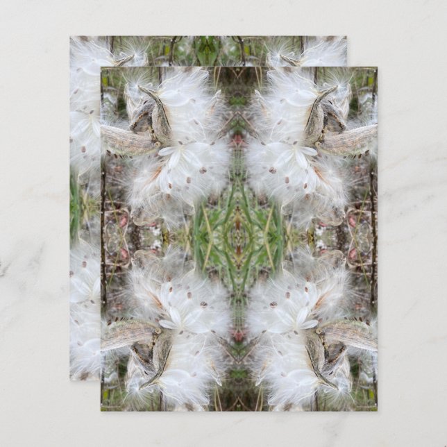 Papier Ouvrir les pots d'algues | Graines avec soie | Scr (Devant / Derrière)