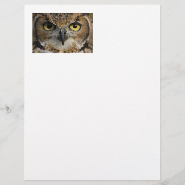 Papier Owl Eyes (Devant)