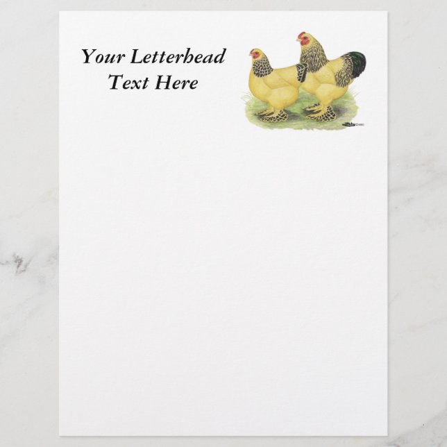 Papier Paire Brahma Buff (Devant)