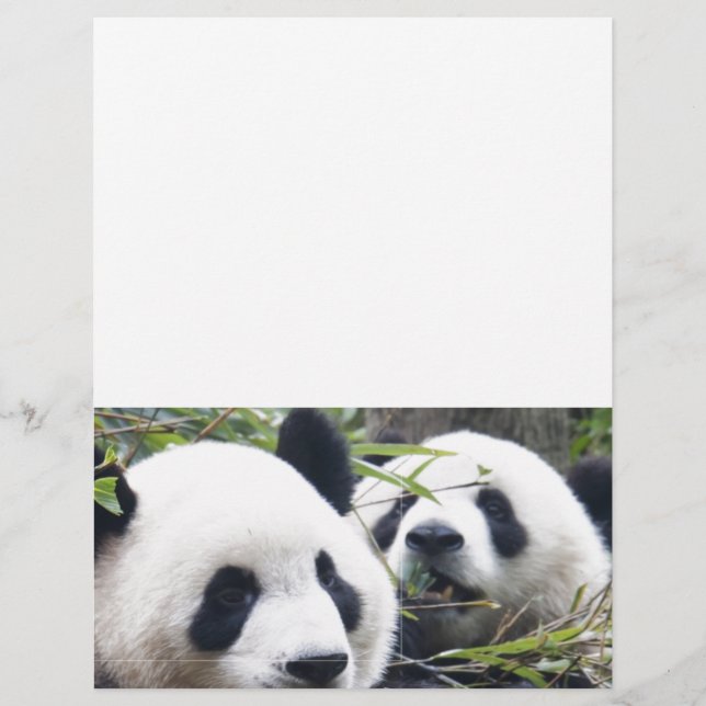 Papier Panda Bears (Devant)