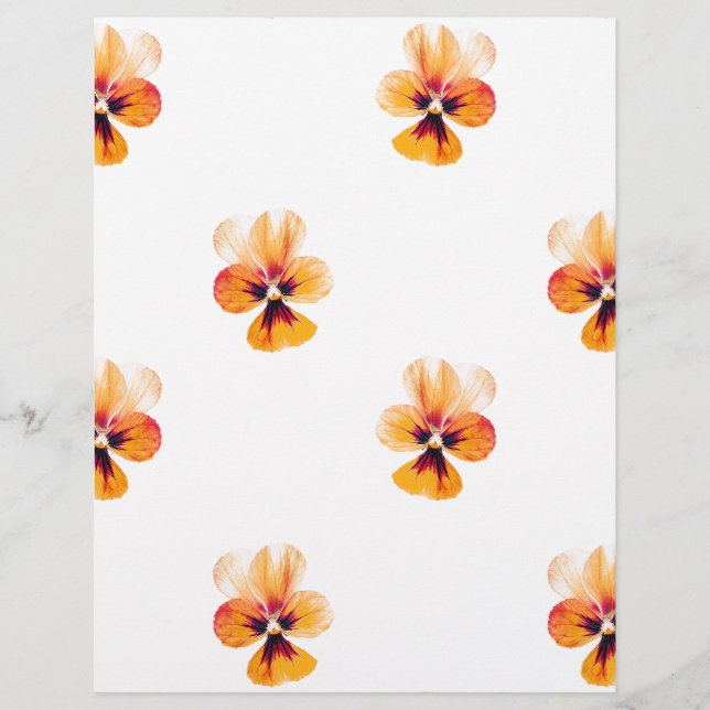 Papier panneaux orange (Devant)