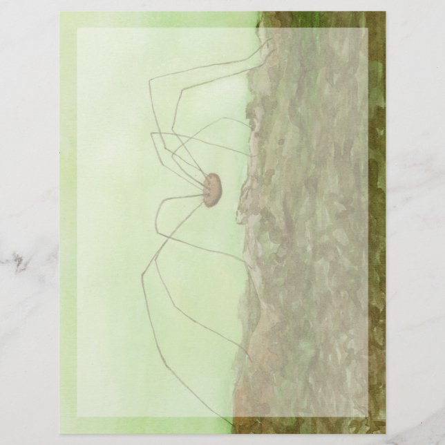 Papier Papa Long Jambes (Devant)