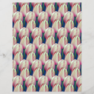 Papier papier à scandale à fleurs de tulipes roses