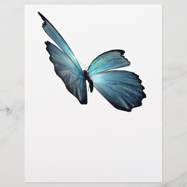 Papier Papillon bleu Morpho (Devant)