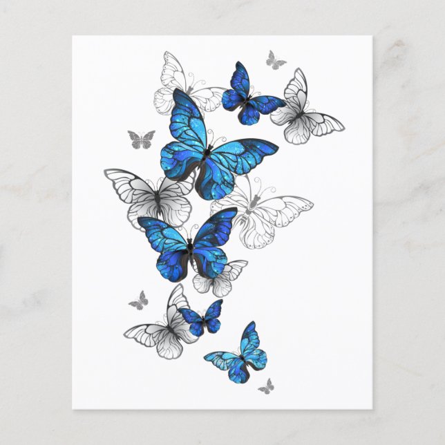 Papier Papillons volants bleus Morpho (Devant)