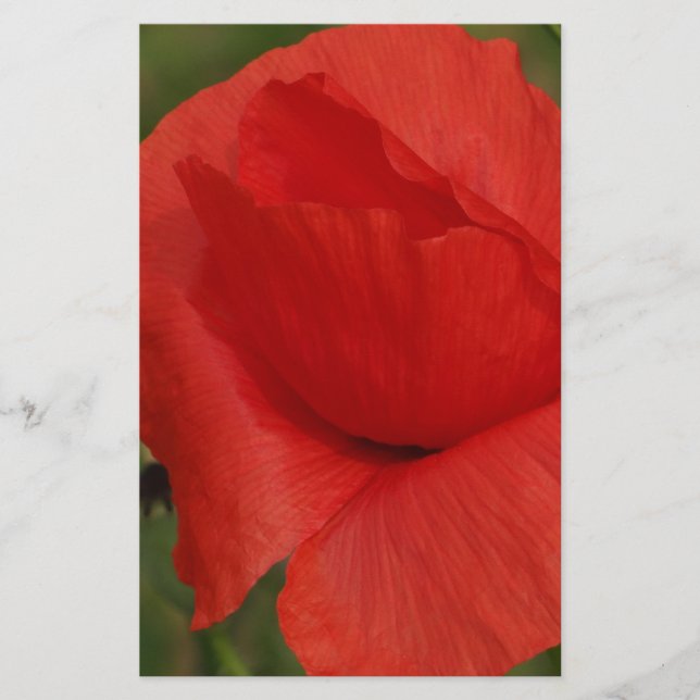 Papier Pavot (Devant)