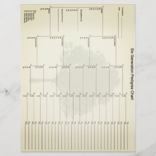 Papier Pedigree de six générations Regarder Vintag