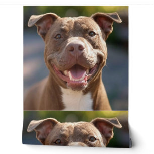Papier Peint Ajouter une Personnaliser photo Pit Bull