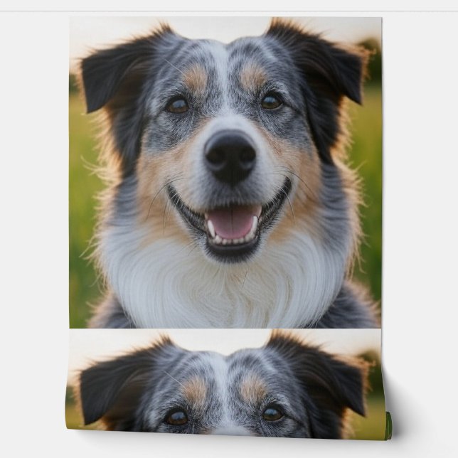 Papier Peint Ajouter une Personnaliser photo pour animaux domes (Déroulement)