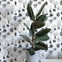 Art de cactus succulent en noir et blanc