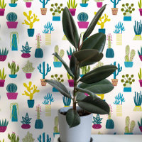 Art de plante de maison succulente cactus