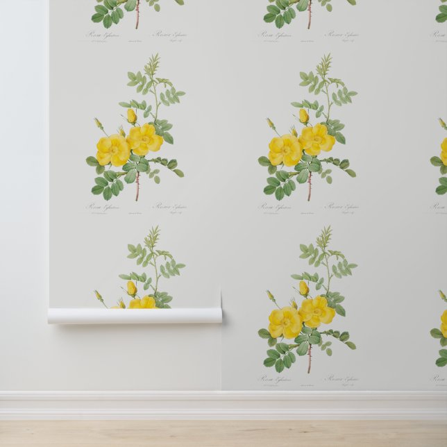 Papier Peint Belle Rose Jaune Jardin Fille Fleur (Application)