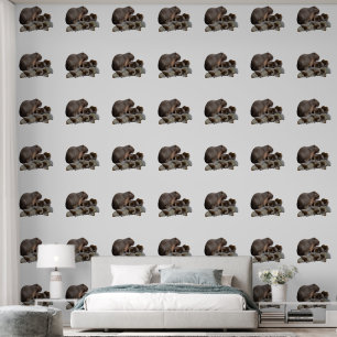 Papier Peint Capybaras De Mère Et De Bébé,