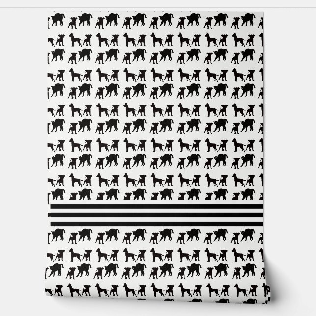 Papier Peint Chiens Et Chats (Déroulement)