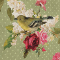 Classic Elegant Green Polka Dot Bird sur Florals