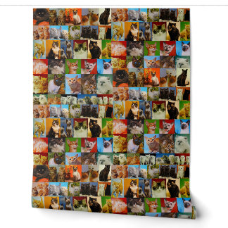 Papier Peint Collage Kitty Vintage