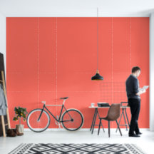 Couleur solide rose corail moderne