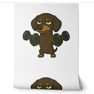 Papier Peint Dachshund avec entraînement de fitness d'haltère b