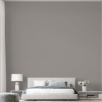Élégant gris clair clair clair uni couleur unie ch