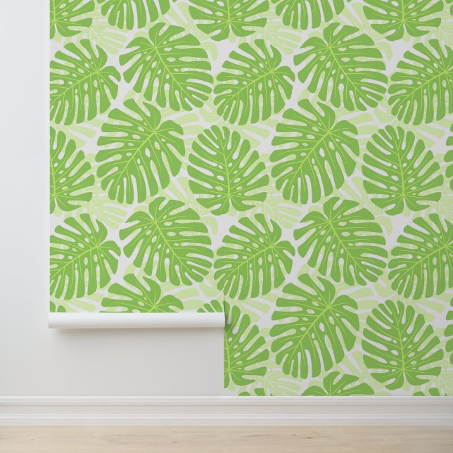 Papier Peint Feuilles De Plante Tropical - Monstera Motif (Application)