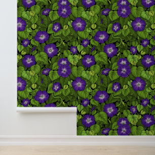 Papier Peint Gloire du matin en violet et vert