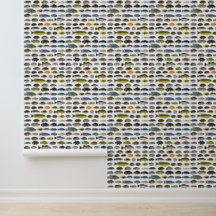 Papier Peint Groupe Cichlid