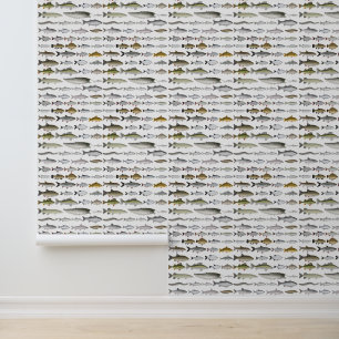 Papier Peint Groupe européen du poisson d'eau douce