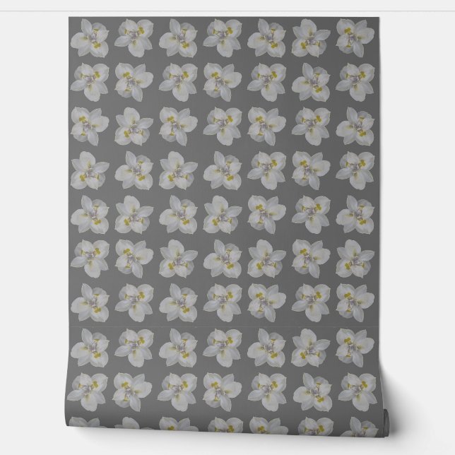 Papier Peint Isolé iris blanc motif fleur motif sans soudure (Déroulement)