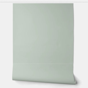 Papier Peint joli motif/couleur unie vert clair uni