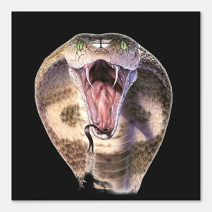 Papier Peint King Cobra Couleur personnalisée Noir