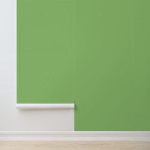 Papier Peint Minimaliste vert pistache uni moderne chic