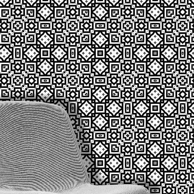 Papier Peint Motifs géométriques symétriques noir et blanc (Créateur téléchargé)