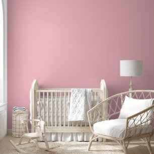 Papier Peint Pastel Dusty Rose de couleur unie tendance   Éléga