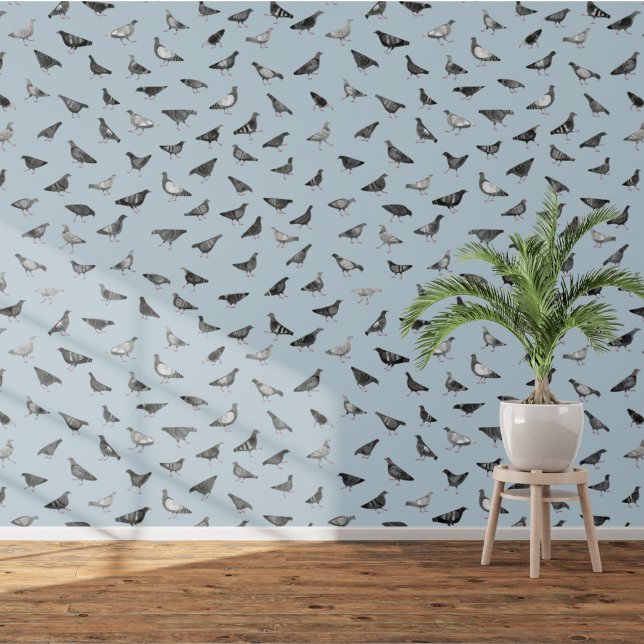 Papier Peint Pigeon Bird (Fun pigeon bird wallpaper)