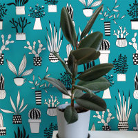 Plante de maison succulente cactus Art vert sarcel