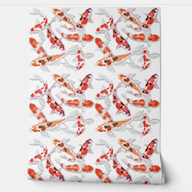 Papier Peint Poisson orange Koi (Déroulement)