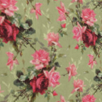Sage Green Antique Vintages Roses & Floraux