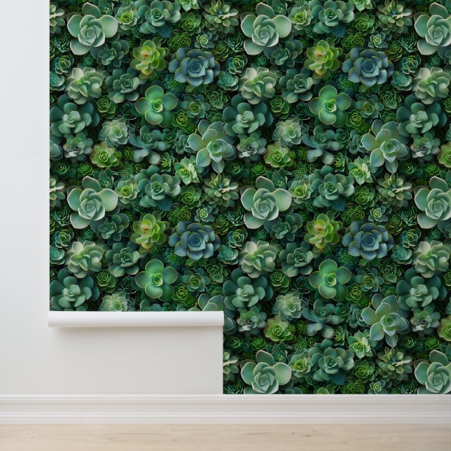 Papier Peint Succulent motif vert de la flore du jardin (Application)