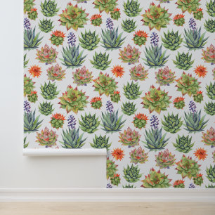 Papier Peint Succulents