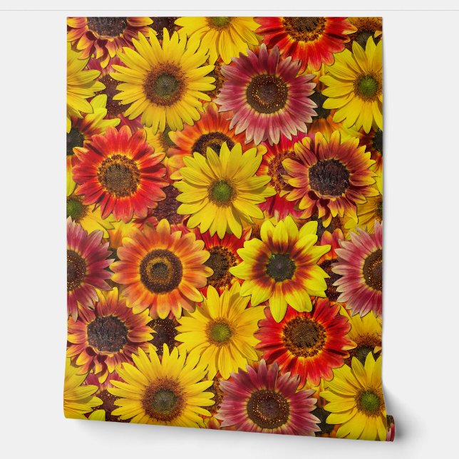 Papier Peint Sunflowers Motif sans couture (Déroulement)