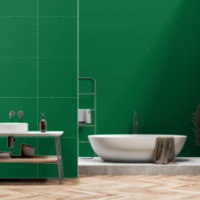 Un arrière - plan vert profond contrasté par un bl