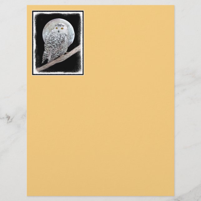 Papier Peinture sur la Chouette neigeuse et la Lune - Art (Devant)